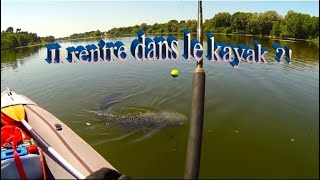 Un beau silure de Loire maillé en kayak gonflable [upl. by Leonsis]