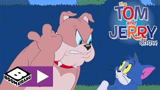 Tom i Jerry Show  Przepraszanie  Cartoonito [upl. by Vallery779]