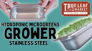 Hydroponic Microgreens GrowerStainless Steel [upl. by Leiahtan857]