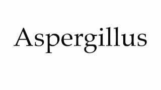 How to Pronounce Aspergillus [upl. by Kyred]