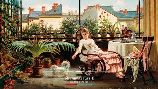 Johann Strauss II  Pizzicato Polka [upl. by Bessie]