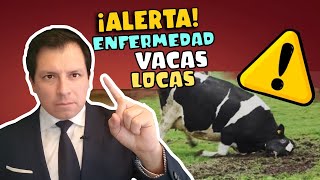 ¡CUIDADO BRASIL REPORTA PROBABLE CASO DE ENFERMEDAD DE VACAS LOCAS ¿RIESGO HUMANO [upl. by Romy]