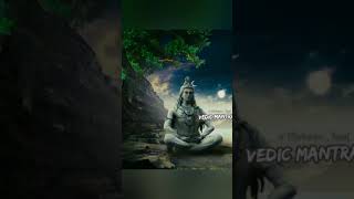 बेलपत्र के बारे को कुछ अनसुने रहस्य।।Mahadev status videoShorts [upl. by Sakmar]