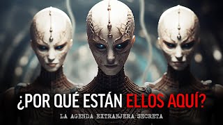 ¿POR QUÉ ESTÁN ELLOS AQUÍ La agenda extraterrestre secreta ¡lo que NECESITAS saber Paul Wallis [upl. by Aibsel516]