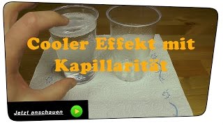 Der Kapillar Effekt  ExperimentTutorial [upl. by Pavel]