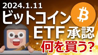 ビットコインETF承認で暗号資産が上昇。買うべきコインと買ってはいけないコイン [upl. by Dylana16]