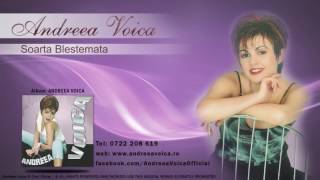 Andreea Voica  Soarta Blestemata audio [upl. by Assirek]