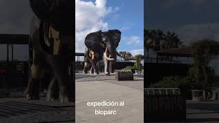 expediciones bioparc de Valencia [upl. by Myrt]