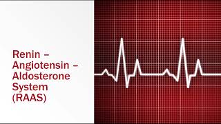 ReninAngiotensinAldosterone System [upl. by Mok]