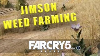 Far Cry 5 Jimson Weed  Jimson Weed farming location [upl. by Einneg]