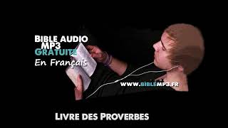 Bible audio  Le livre des Proverbes  Bible MP3 en Français [upl. by Dallon]