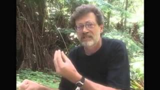 Terence Mckenna Timewave zero explained in under ten minutes [upl. by Laemaj]