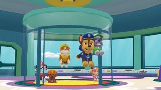 Paw patrol 1 [upl. by Elehcin]