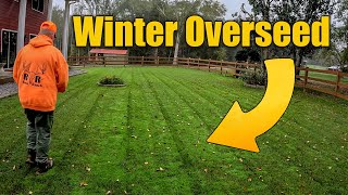 Overseeding Fall Lawns for Winter [upl. by Ian175]