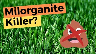 Is This A Milorganite Killer 💩🚫  Innova by The Andersons [upl. by Donata]