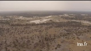 Botswana  savane limite marais [upl. by Leotie]