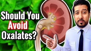 Oxalates in Vegetables  Oxalates and Kidney Stones EXPLAINED [upl. by Atneciv]