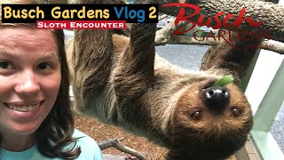 Busch Gardens Sloth Encounter [upl. by Hali]