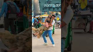 Rolling Prank on Cute Girl Purposing Prank😜 Rolling purposing ​⁠Lappusachin295 [upl. by Jegger31]