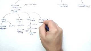 Cardiac Drugs Part 1 Intro and Afterload [upl. by Ttemme]