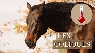 LES COLIQUES  Point santé [upl. by Campman509]