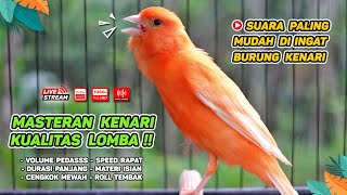 Kenari GACOR‼️ Masteran Burung Kenari PAUD dan Pancingan Kenari MACET BUNYI  EPISODE 1527 [upl. by Niatsirt]