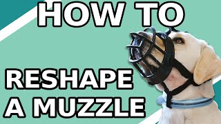 How to Reshape a Baskerville Muzzle [upl. by Columba]