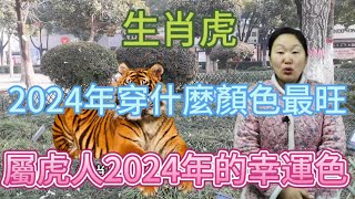 生肖屬相虎！屬虎人在2024年穿什麼顏色最旺？生肖屬虎人2024年幸運色是什麼！本期視頻講述2024生肖虎！運勢 顏色 風水 2024 [upl. by Kelli]