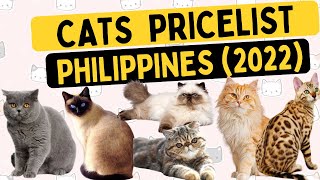 🐱 CATS Price list 2022 Philippines  All Breeds  Cartimar Tiendesitas Pet Shops [upl. by Irrem]