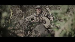 Hunting Enormous Water Buffalo in Argentina  Pointer Outfitters amp Hunting With Hecs [upl. by Annoet]