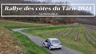 Rallye des Côtes du Tarn 2024  FULL ATTACKS [upl. by Enilrad218]