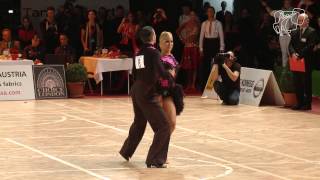 Bitsch  Williamson DEN  2013 World Ten Dance F J [upl. by Chlo]