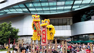 Khuan Lokes Spectacular Acrobatic Lion Dance at Starling Mall  Timeless Artistry [upl. by Cosimo]