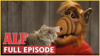 ALF Becomes a Cat Person  ALF  FULL Episode S4 Ep9 [upl. by Ellatsyrc508]