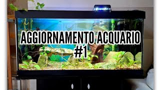 Aggiornamento acquario 1 [upl. by Liek444]