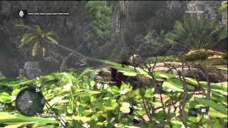 Assassins Creed 4 Black Flag Treasure Map Location 179 593 [upl. by Atinauj333]