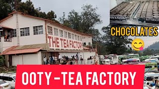 🤯TEA FACTORY IN OOTY TAMILNADU ooty ootytouristplaces travel tourist ootytrip [upl. by Rehpotsirh]