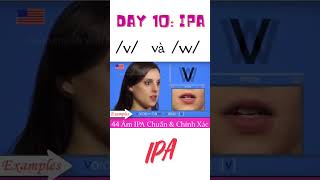 Day 10 IPA âm v và w shorts [upl. by Lodge]