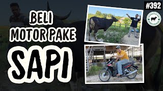 BELI MOTOR PAKE SAPI [upl. by Ecinaj]