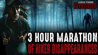 3 Hour National Park Disappearances MARATHON [upl. by Hamlin]