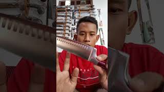 Review Pisau Berlinger Haus Profesional Chef Knife 20 cm  tes ketajaman asli bawaan pabrik [upl. by Sible]