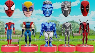 live TEBAK GAMBAR TOP SUPERHERO  AVENGERS MARVEL SPIDER MAN IRON MAN HULK VENOM CAPTAIN [upl. by Yttiy]