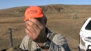 Pheasant Hunting  Montana Outdoor Radio Show [upl. by Hertberg]