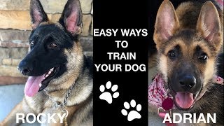 EASY WAYS TO TRAIN YOUR GERMAN SHEPHERD DOG BASIC COMMANDS AND TRICKS [upl. by Einnej]