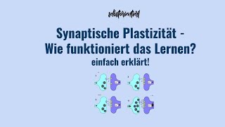 Synaptische Plastizität einfach erklärt  Definition  Kurzzeit amp Langzeitlernen  LTP Amboss [upl. by Gnehs]