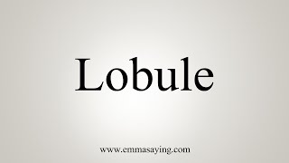 How To Say Lobule [upl. by Tnomad]