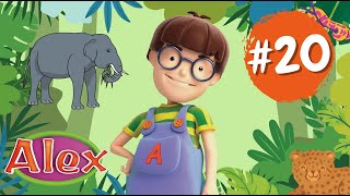 Aprende la selva con Alex Alex y sus Amigos El Elefante 🐘 [upl. by Lednam]