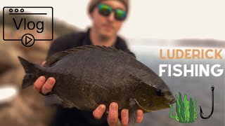 First Time Fishing for LUDERICK Beginners Guide  NELSON BAY Breakwall [upl. by Lidia521]