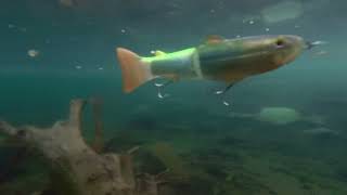 Action video of deps Slide Swimmer 250 amp 175 Shudder Tail [upl. by Seligmann]