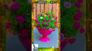 Bottle garden ideas plantsflowers garden flowers flower plantsflowers seedsplants33 [upl. by Etnauq]